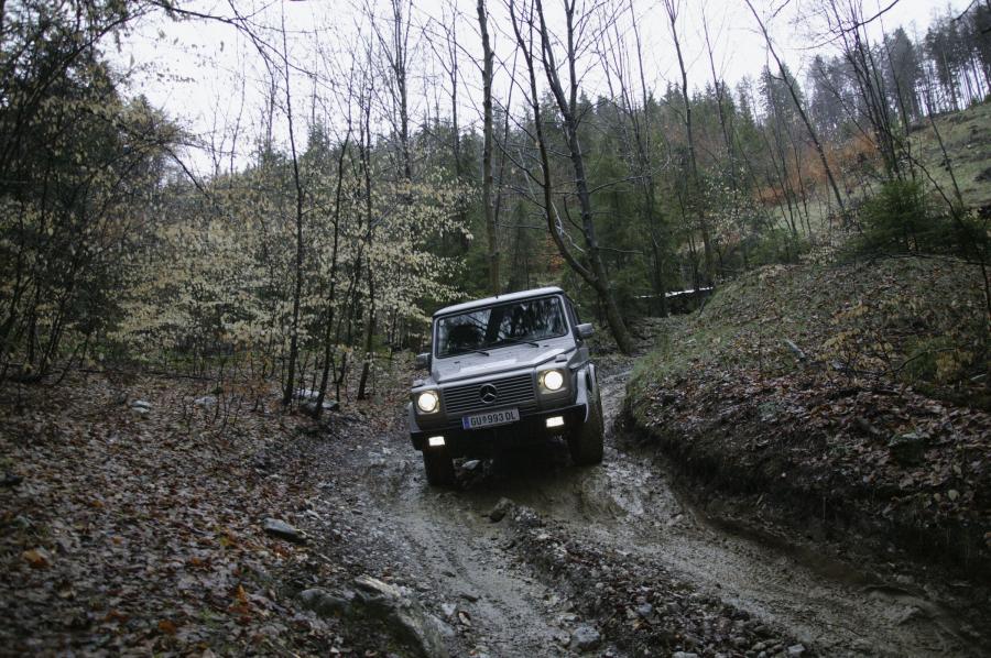  Mercedes-Benz G-Class 1990 года  (фото 187 из 260)